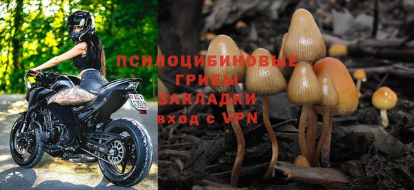 прущая мука Арсеньев