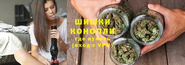 spice Аркадак