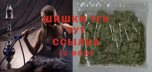 прущая мука Арсеньев